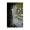 Trademark Fine Art Robert Michaud 'Waterfall' Canvas Art, 12x19 ALI23575-C1219GG